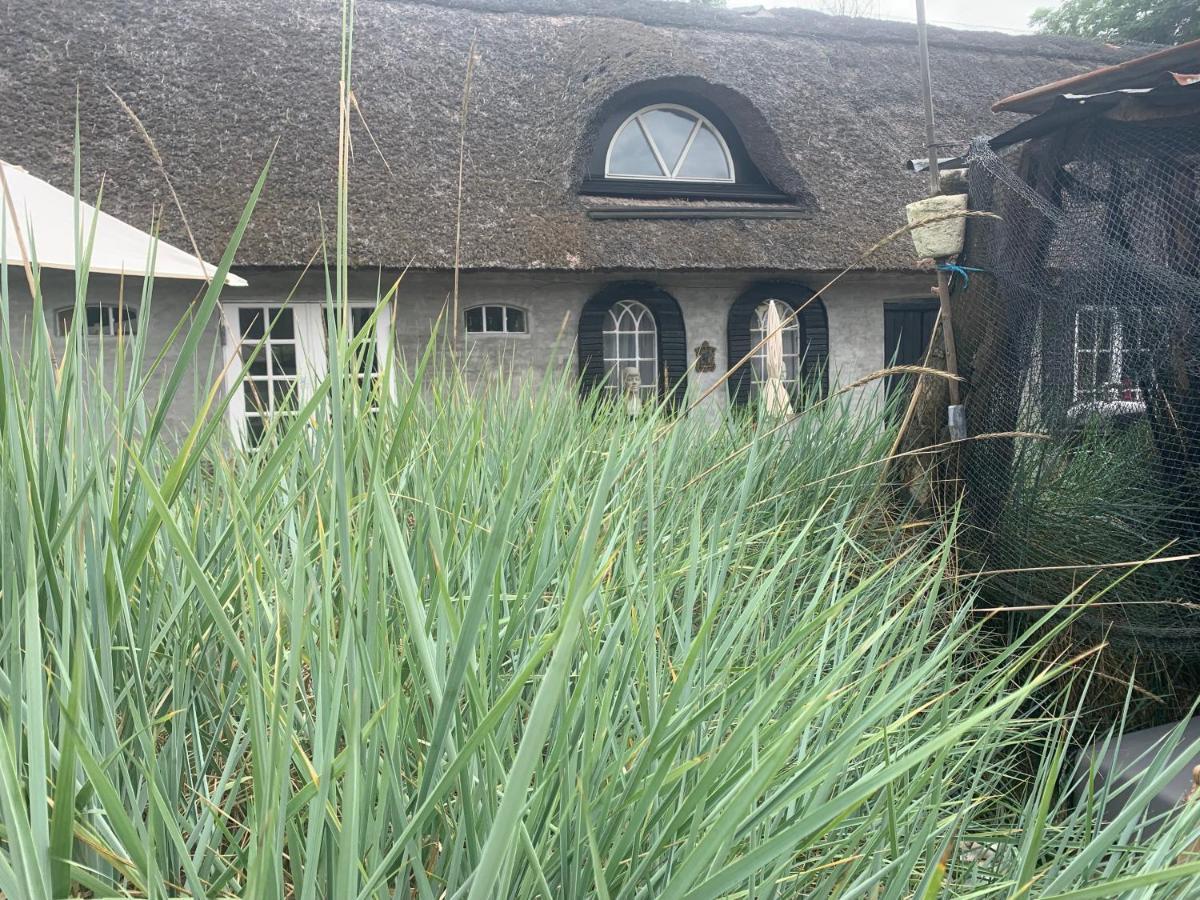 Farm61 Badehotellet I Det Midtjydske - Alder +18 Ar Tjele Kültér fotó